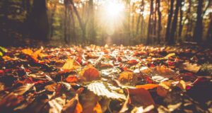 Is today the start of fall?