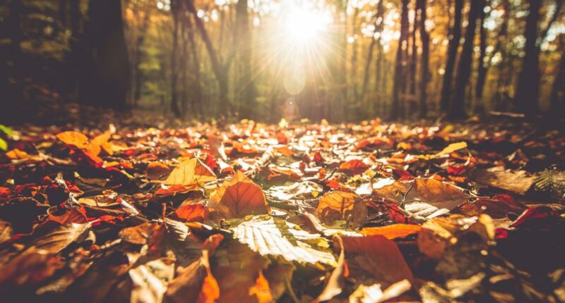 Is today the first day of fall?