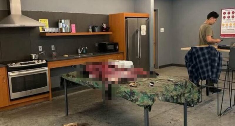 Ivy League students killed 120lb bear and skinned it back at dorm