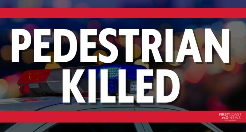 JSO: Man dies after being hit by police SUV on Old St. Augustine Road