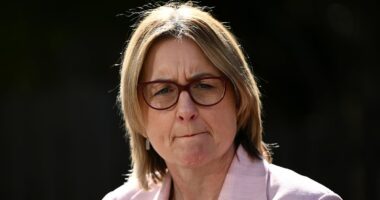 Jacinta Allan gets the ultimate revenge on neo-Nazi with single photo