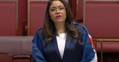 Jacinta Price demands that burning the Australian flag illegal