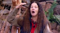 Janice Dickinson sues ITV over I'm A Celebrity accident