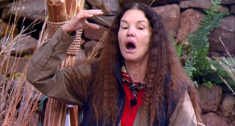 Janice Dickinson sues ITV over I'm A Celebrity accident