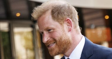 Just 7 miles apart but there's still a chasm between Harry and William