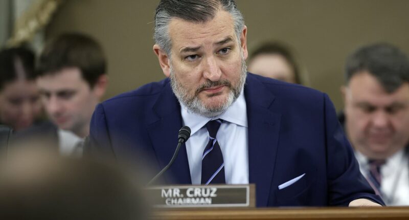 Kaitlan Collins blasted for allegedly 'lying' about Kirk's killing
