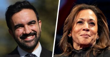 Kamala Harris gives Zohran Mamdani a tepid endorsement in the NYC mayoral race