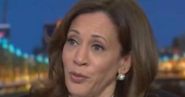 Kamala Harris grilled by Rachel Maddow over Buttigieg comment