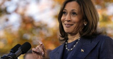 Kamala Returns to 'The View' and Manages to Badly Embarrass Herself Yet Again