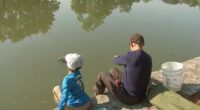 Kids compete in annual Fishing Derby at McKinley Park Lagoon on Chicago's Southwest Side