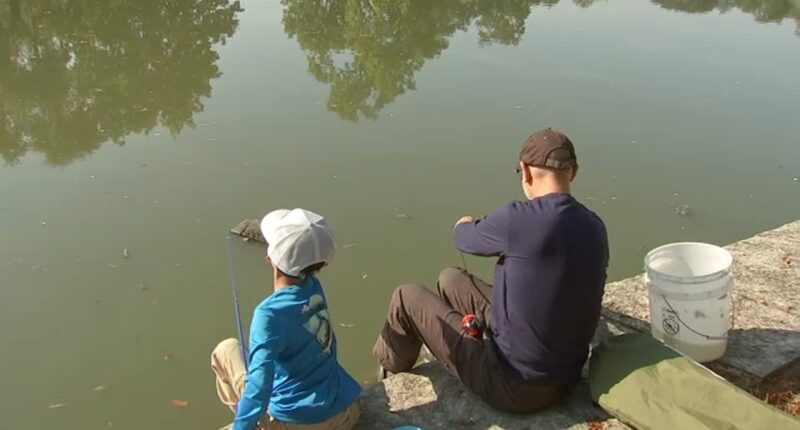Kids compete in annual Fishing Derby at McKinley Park Lagoon on Chicago's Southwest Side