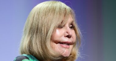 Kim Novak, 92, looks almost unrecognisable at Venice Film Festival