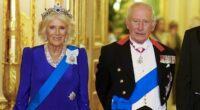 King Charles and Queen Camilla will visit the Vatican and meet with Pope Leo XIV for the first time next month