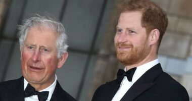 King Charles is 'perplexed' by Prince Harry's claims 'men in grey suits' are sabotaging his reconciliation with his father