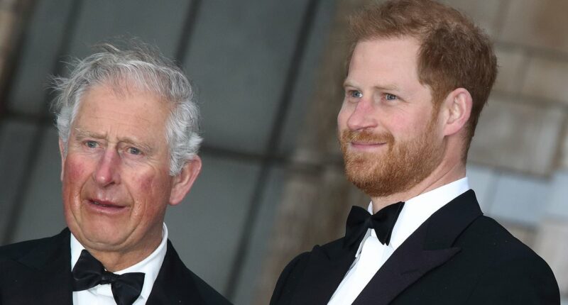 King Charles is 'perplexed' by Prince Harry's claims 'men in grey suits' are sabotaging his reconciliation with his father