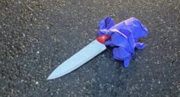 Knife-wielding man slashes NYPD officer in face with 14-inch blade, police shoot him dead in pursuit