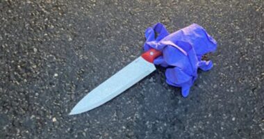 Knife-wielding man slashes NYPD officer in face with 14-inch blade, police shoot him dead in pursuit