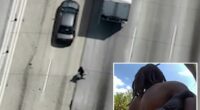 LA assault suspect plays freeway Frogger to evade arrest: video