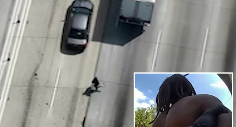 LA assault suspect plays freeway Frogger to evade arrest: video