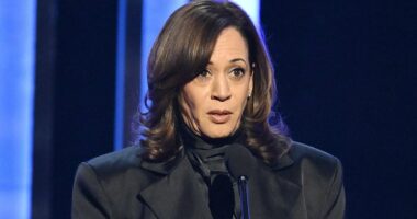 LAPD 'pulled from working cases' to give Kamala Harris 24/7 protection