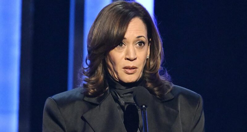 LAPD 'pulled from working cases' to give Kamala Harris 24/7 protection