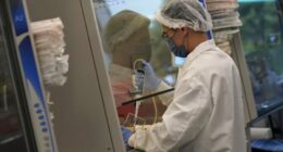 Lab-grown meat ban takes effect in Texas