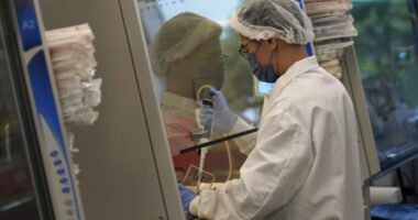 Lab-grown meat ban takes effect in Texas