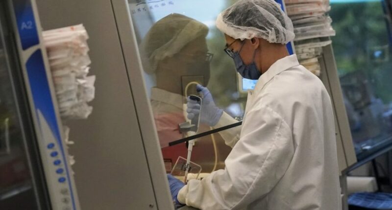 Lab-grown meat ban takes effect in Texas