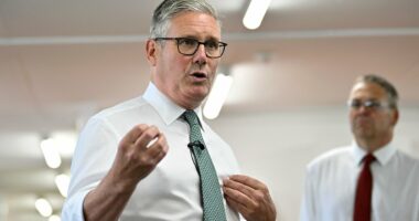 Labour battles to rescue Rayner by branding tax critics 'classist'