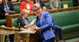 Labour's 'one in, one out' migrant deal with France has NONE returned