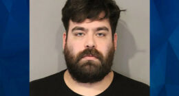 Landscaper Saves Illinois Woman From Husband Trying to Killer Her: Cops
