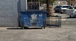 Las Vegas man accused of dumping dead dog played video games while pet sat in 109-degree heat: police
