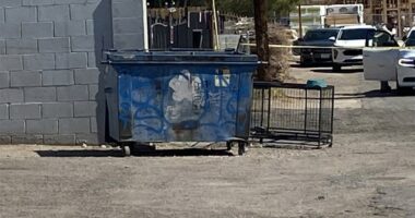 Las Vegas man accused of dumping dead dog played video games while pet sat in 109-degree heat: police