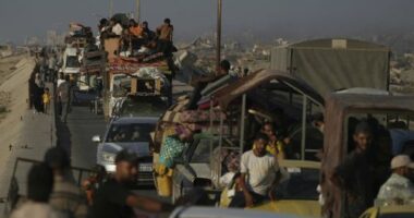 Leading genocide scholars say Israel committing genocide in Gaza