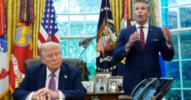 Legal aid group sues to preemptively block U.S. from deporting a dozen Honduran children