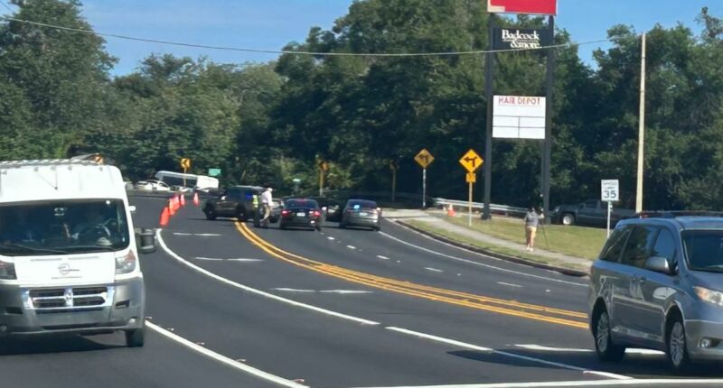 Lem Turner Road deadly pedestrian crash is a hit and run, JSO says