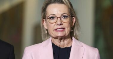 Opposition leader Sussan Ley during a press conference at Parliament House in Canberra on Wednesday 3 September 2025. fedpol Photo: Alex Ellinghausen