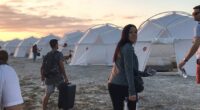 LimeWire acquires Fyre Festival, asking 'What Could Possibly Go Wrong?'