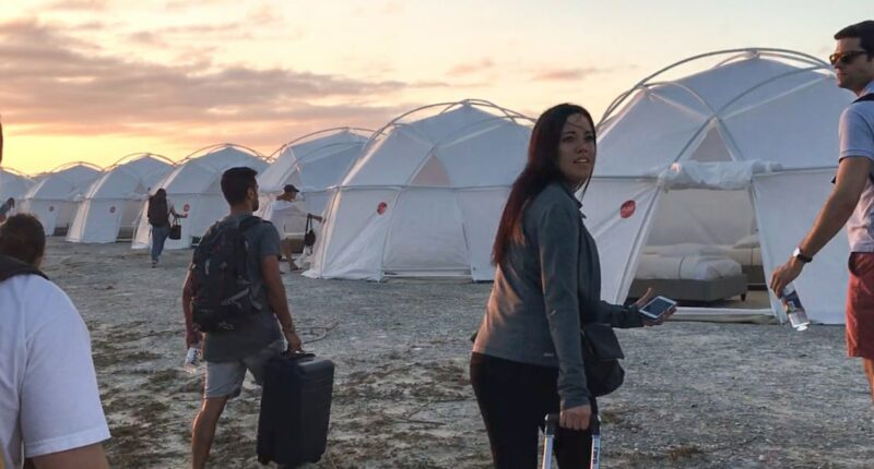 LimeWire acquires Fyre Festival, asking 'What Could Possibly Go Wrong?'