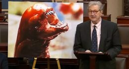 Louisiana senator warns radioactive shrimp can turn you into a monster