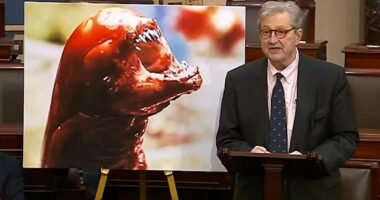 Louisiana senator warns radioactive shrimp can turn you into a monster