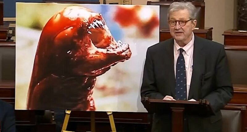 Louisiana senator warns radioactive shrimp can turn you into a monster