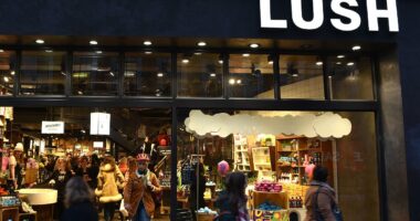 Lush closes ALL stores and shuts website in protest over Palestine