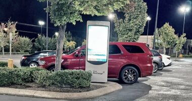 MAGA mom says she loves to block local EV charger with her gas truck