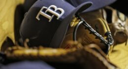 MLB approves Rays sale; fans say 'they won't go wrong' if they build stadium in St. Pete