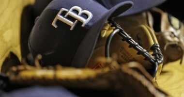 MLB approves Rays sale; fans say 'they won't go wrong' if they build stadium in St. Pete