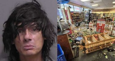 Man accused of throwing glass bottles in Palm Coast liquor store, spitting at deputies