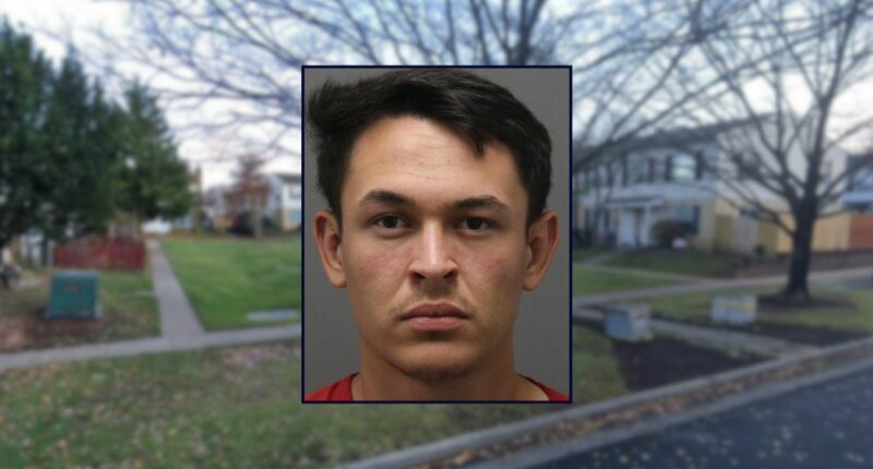 Man allegedly strangled infant sister with charging cord
