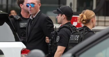 Man arrested by Secret Service after 'scaling White House fence'