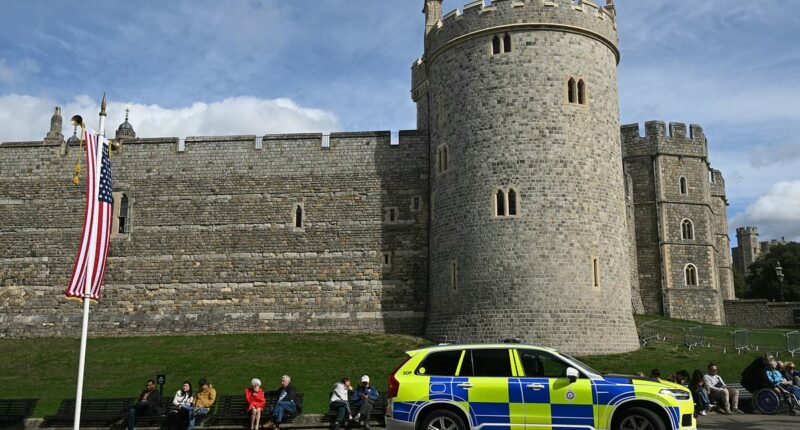 Man arrested for flying drone over Windsor ahead of Trump visit